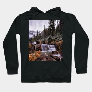 In the Footsteps of Giants Hoodie